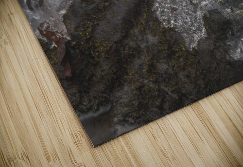 Winter Solace 4 THOMAS PATRICK KENNEDY puzzle