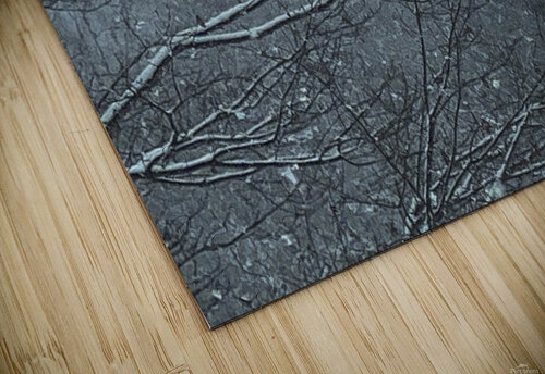 First Snow THOMAS PATRICK KENNEDY puzzle