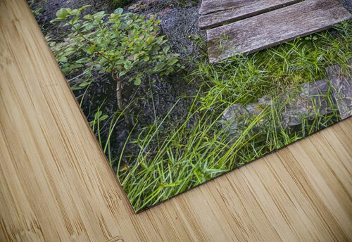 Happy Trails THOMAS PATRICK KENNEDY puzzle