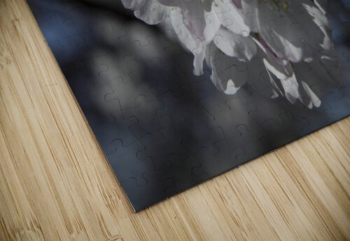 Spring has Sprung THOMAS PATRICK KENNEDY puzzle