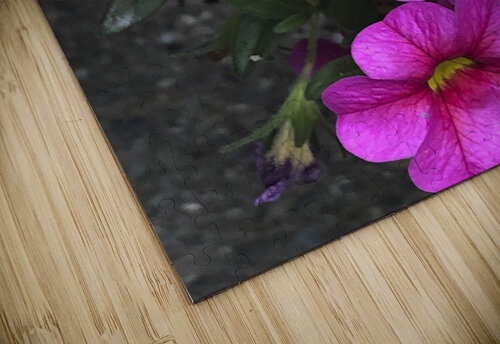 Spring Portrait THOMAS PATRICK KENNEDY puzzle