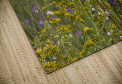 Spring Meadow THOMAS PATRICK KENNEDY puzzle