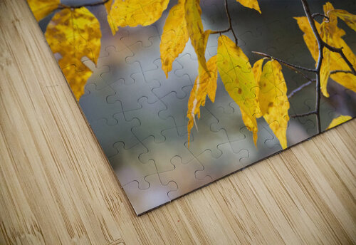 Autumn Memory THOMAS PATRICK KENNEDY puzzle