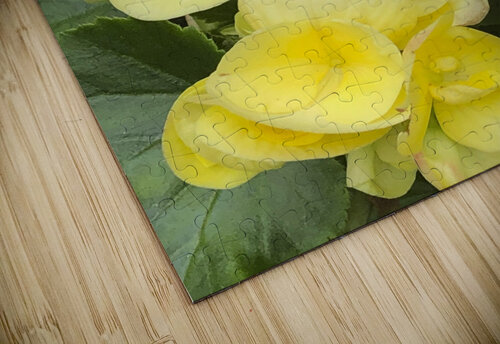 Yellow Begonias THOMAS PATRICK KENNEDY puzzle
