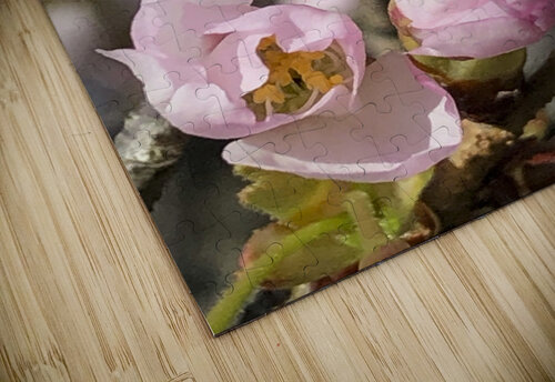 Spring Blossom Boom THOMAS PATRICK KENNEDY puzzle