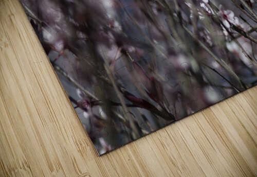 Sand Cherry Blossoms THOMAS PATRICK KENNEDY puzzle
