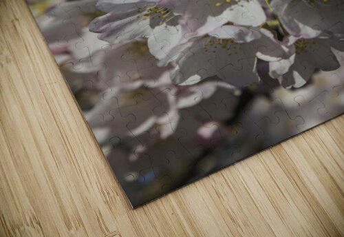 Spring Blossoms THOMAS PATRICK KENNEDY puzzle