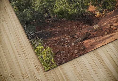 Amazing Sedona THOMAS PATRICK KENNEDY puzzle