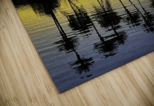 Palms at Dawn Reflections THOMAS PATRICK KENNEDY puzzle