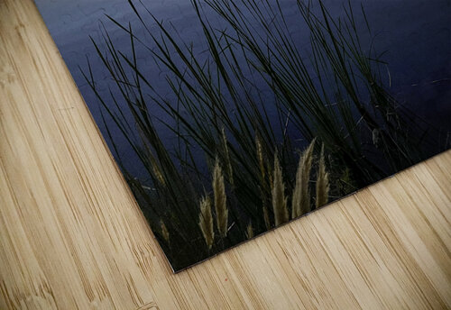 Palms at First Light THOMAS PATRICK KENNEDY puzzle