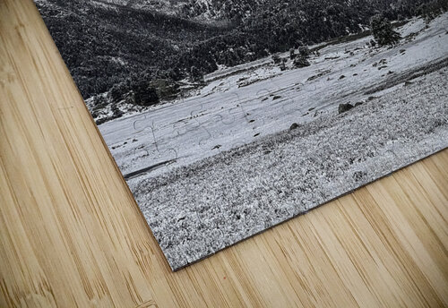 Mountain Meadows THOMAS PATRICK KENNEDY puzzle