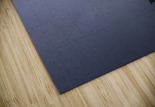 Lonely Lake THOMAS PATRICK KENNEDY puzzle