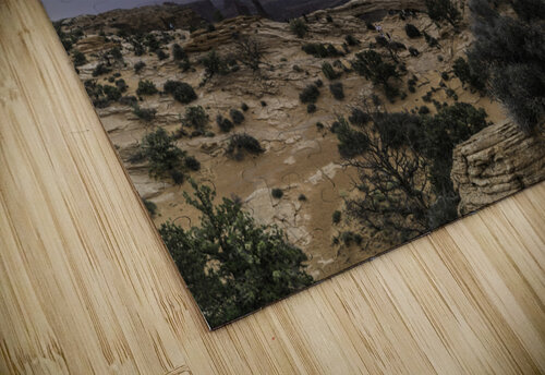 Meas Arch Macro THOMAS PATRICK KENNEDY puzzle