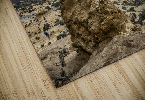 Arches Devils Workshop THOMAS PATRICK KENNEDY puzzle
