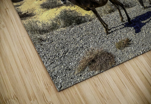 Desert Denizens THOMAS PATRICK KENNEDY puzzle