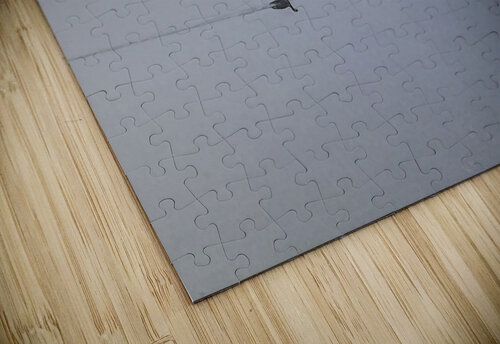 Lovebirds THOMAS PATRICK KENNEDY puzzle