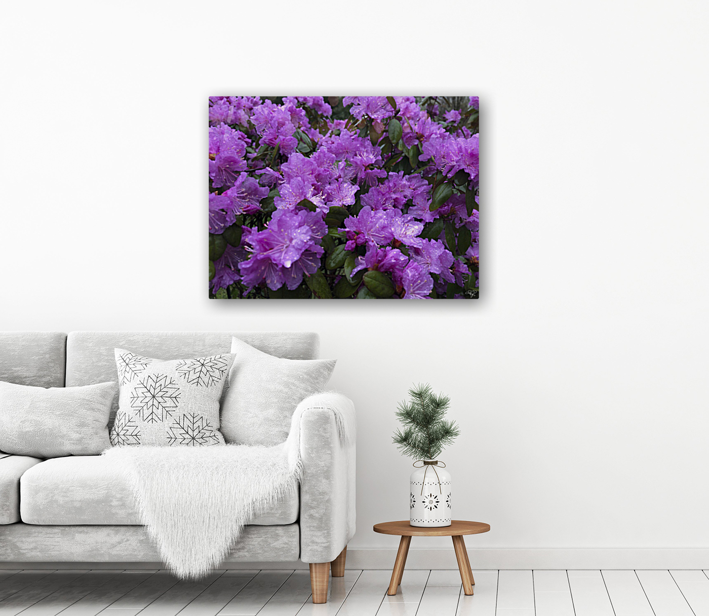Azalea Medley Reproduction
