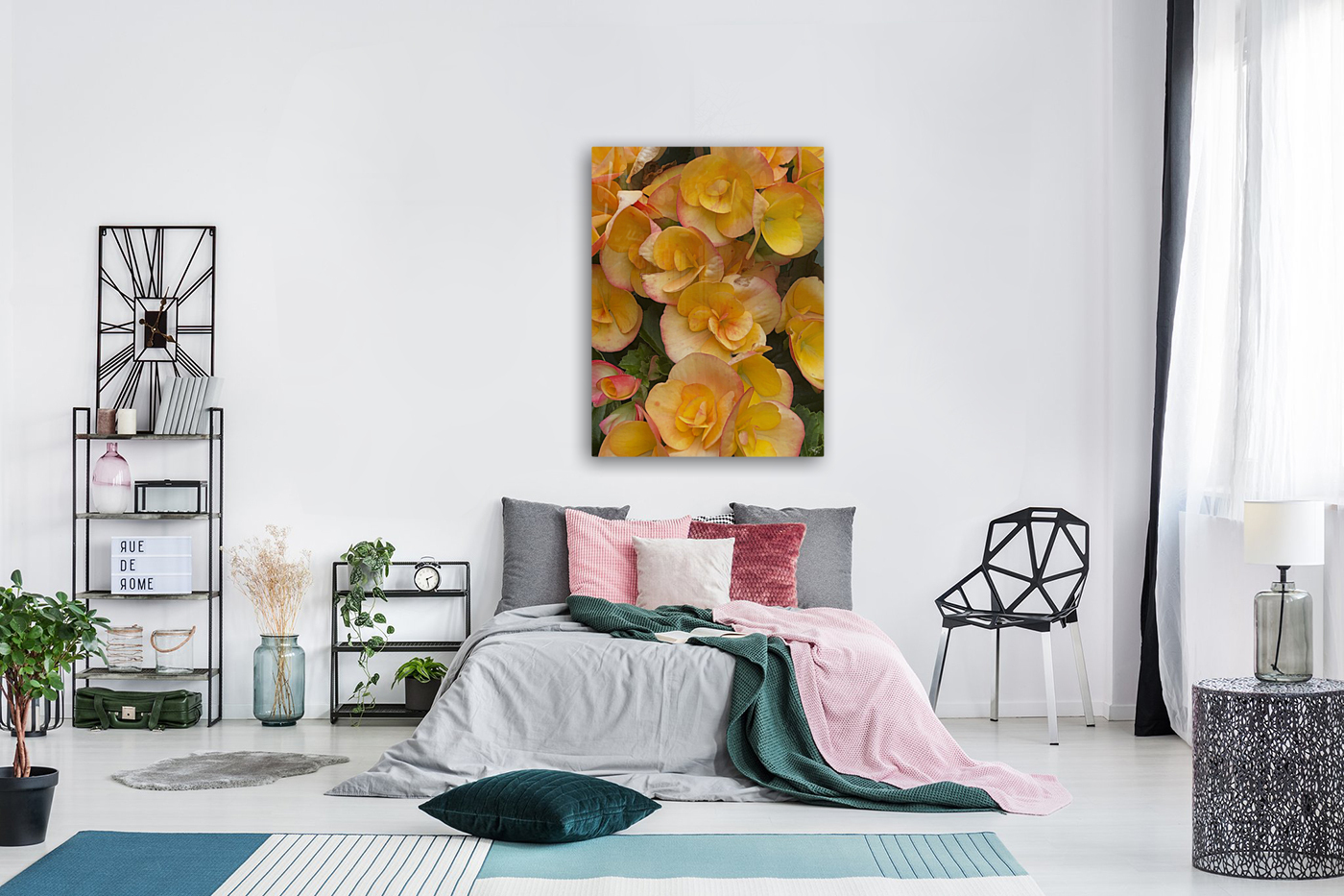 Orange Begonias Reproduction