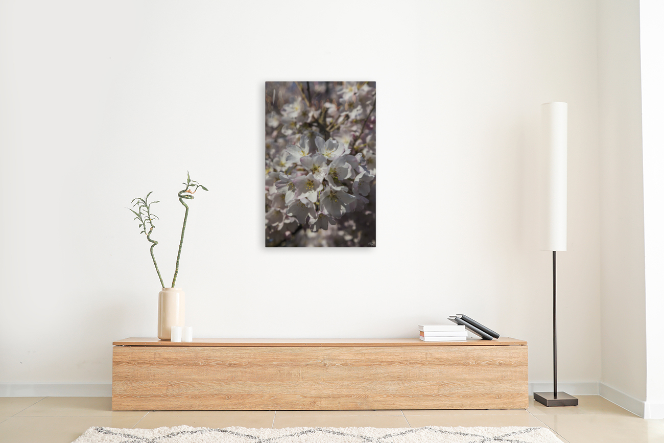 Spring Blossoms Reproduction
