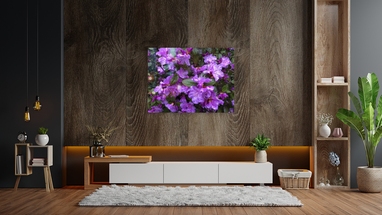 Spring Azaleas Reproduction