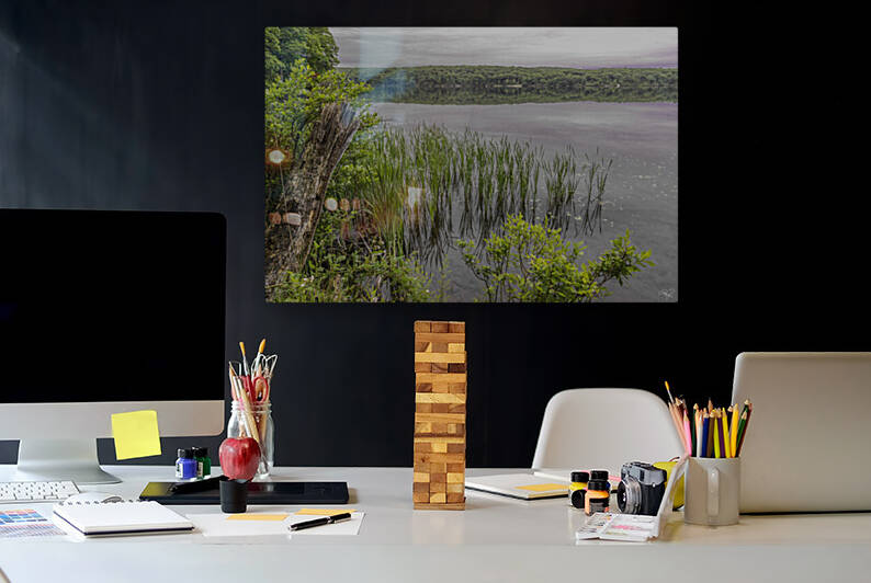 Lake Tiorati Reeds  Harriman  NY by THOMAS PATRICK KENNEDY