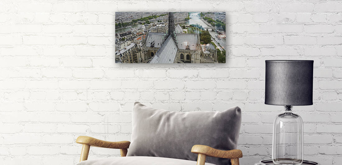 Notre Dame   View from the Towers by THOMAS PATRICK KENNEDY