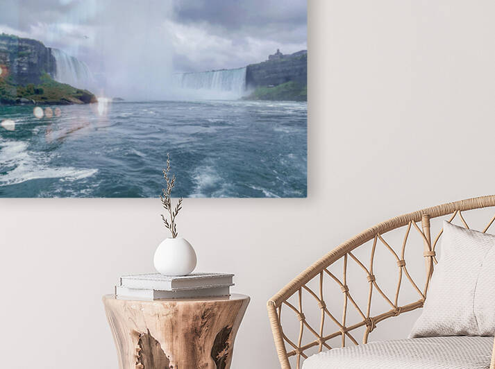 Bird in Flight   The Canadian Horseshoe Falls by THOMAS PATRICK KENNEDY