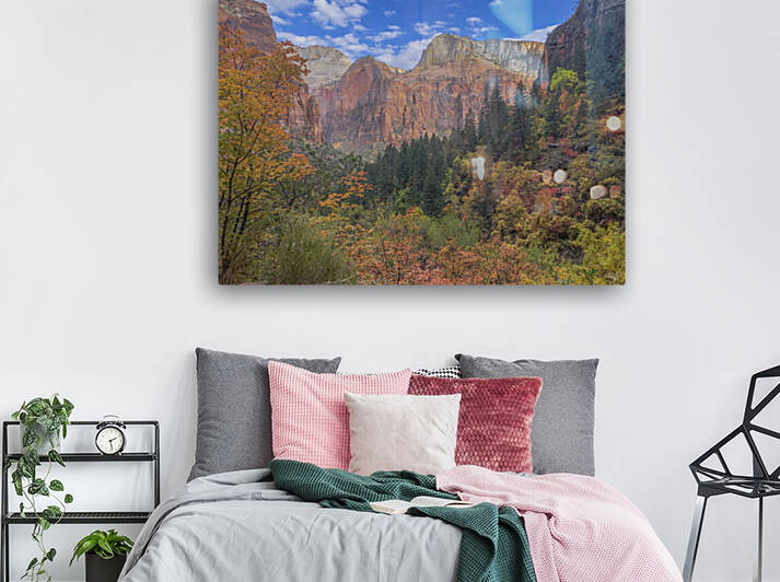 Zion National Park  Utah in Autumn by THOMAS PATRICK KENNEDY