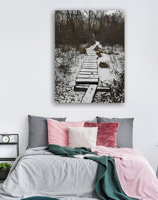 Black Rock Forest Winter Trail by THOMAS PATRICK KENNEDY