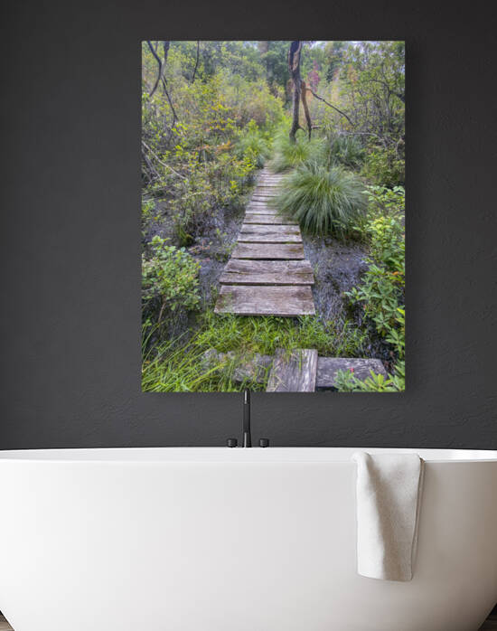Happy Trails by THOMAS PATRICK KENNEDY