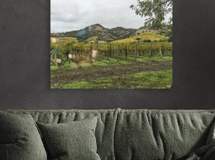 Stags Leap  Napa by THOMAS PATRICK KENNEDY
