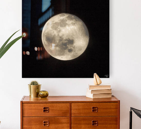 Wolf Moon by THOMAS PATRICK KENNEDY