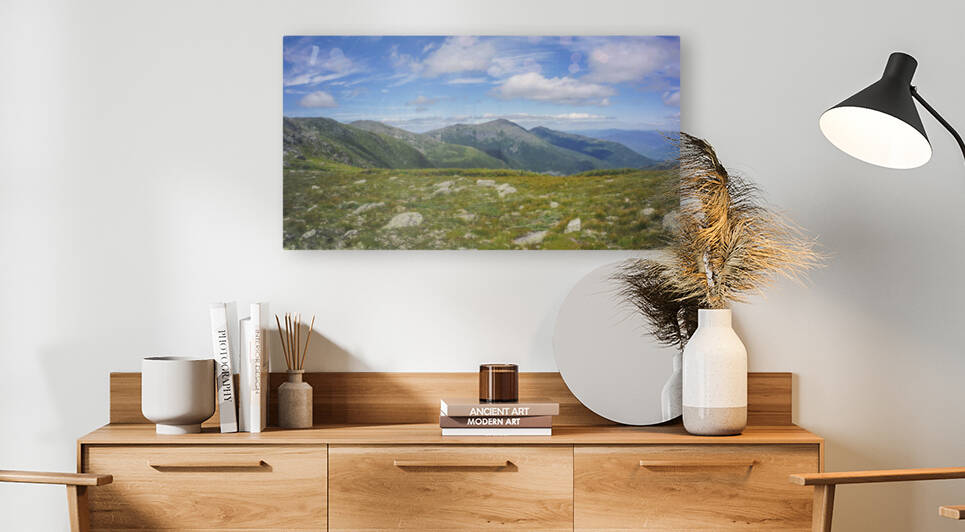The Presidentials  New Hampshire by THOMAS PATRICK KENNEDY