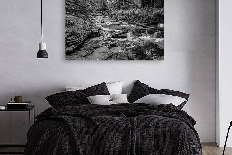 Cascades at the Peekamoose Blue Hole Sundown State Park  Denning  NY BW by THOMAS PATRICK KENNEDY