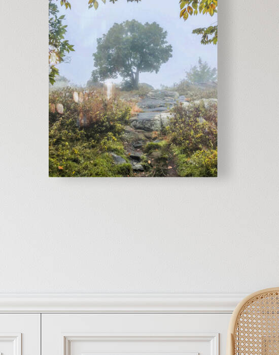 Storm King Summit on a Foggy Day by THOMAS PATRICK KENNEDY