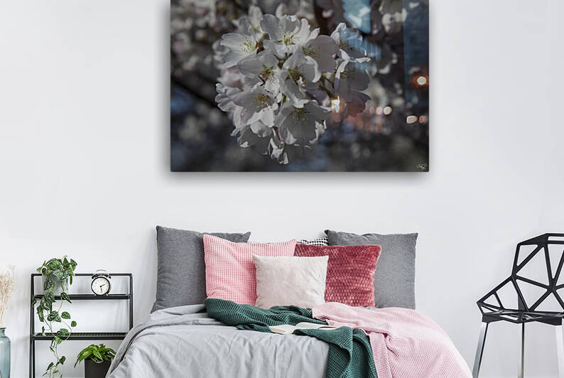 Spring has Sprung by THOMAS PATRICK KENNEDY