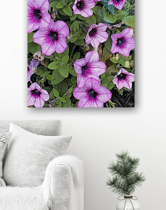 Petunias on Parade by THOMAS PATRICK KENNEDY
