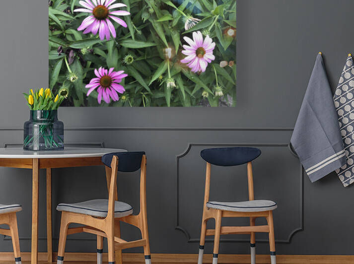 Purple Cone Flowers by THOMAS PATRICK KENNEDY