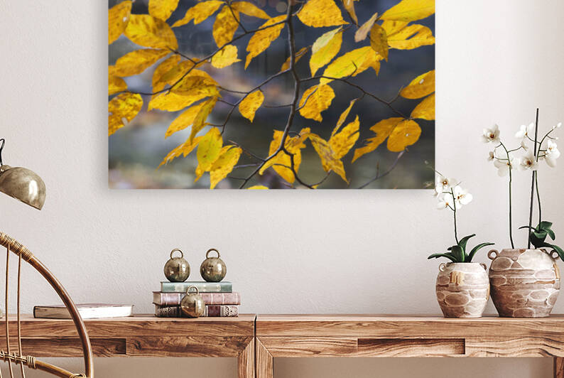 Autumn Memory by THOMAS PATRICK KENNEDY