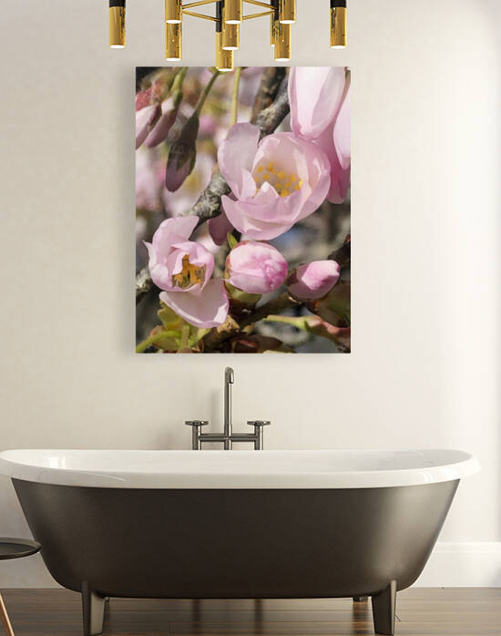 Spring Blossom Boom by THOMAS PATRICK KENNEDY