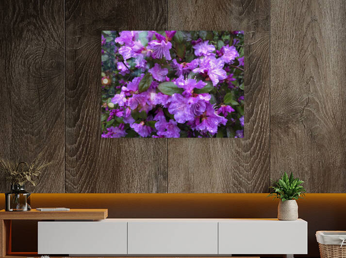 Spring Azaleas by THOMAS PATRICK KENNEDY
