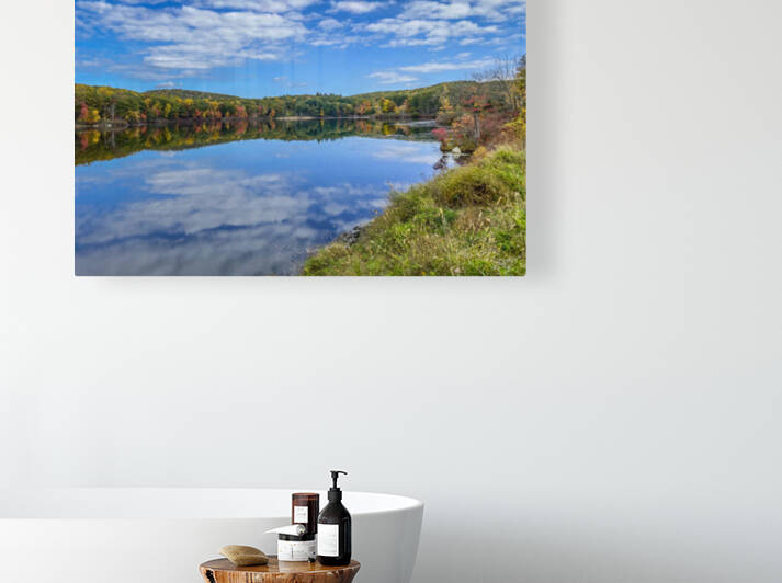 The Autumn Cove by THOMAS PATRICK KENNEDY