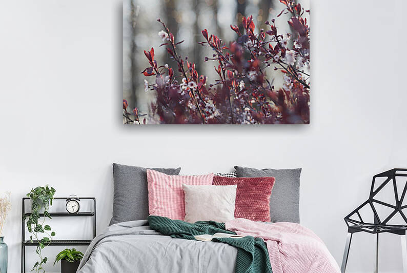 Reds in Spring by THOMAS PATRICK KENNEDY