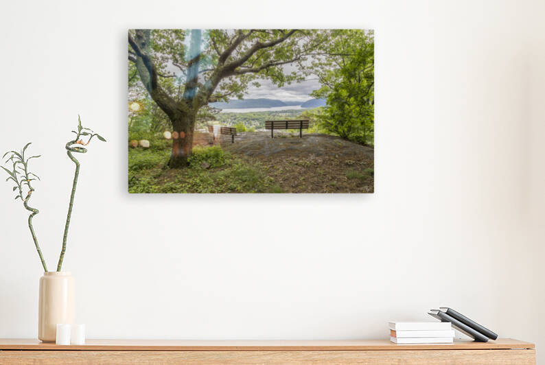 Snake Hill Vista by THOMAS PATRICK KENNEDY
