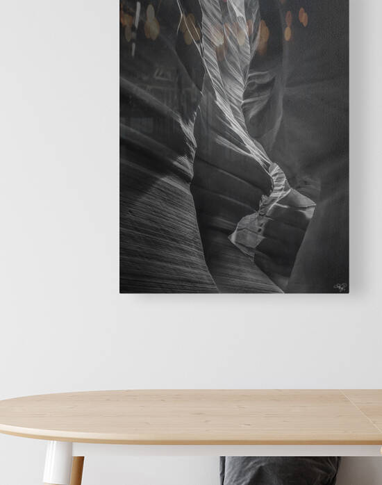 Antelope Contours BW Reproduction