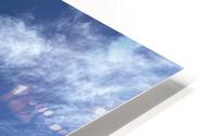Sorting Things Out HD Metal print