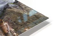 Black Rock Roots HD Metal print