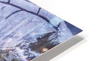 Ice Dreams HD Metal print