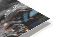 Winter Solace 6 HD Metal print