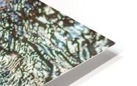 Winter Solace 18 HD Metal print